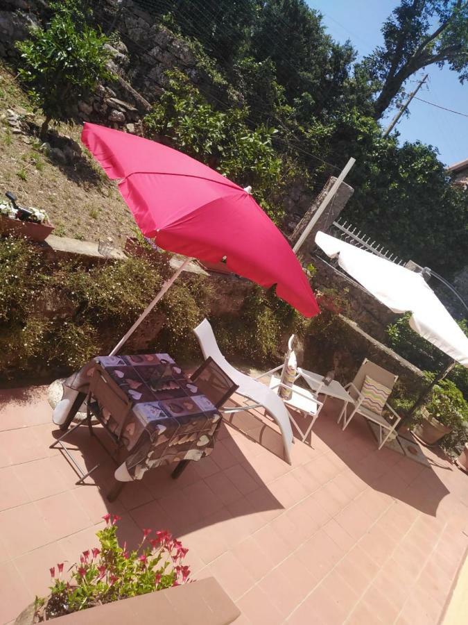 La Rosa Hotell Ameglia Eksteriør bilde